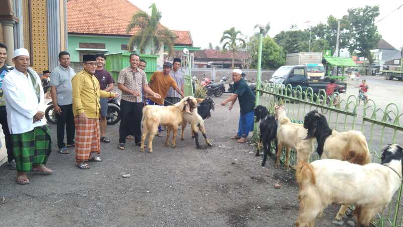 Penyerahan Hewan Qurban Sambut Hari Raya Idul Adha di Masjid Nurul Huda Desa Pulukan